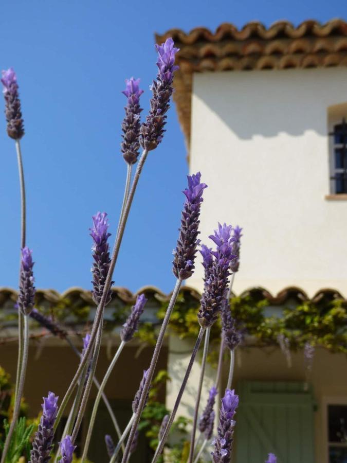 Azurea Bed & Breakfast วัลบอนน์ ภายนอก รูปภาพ